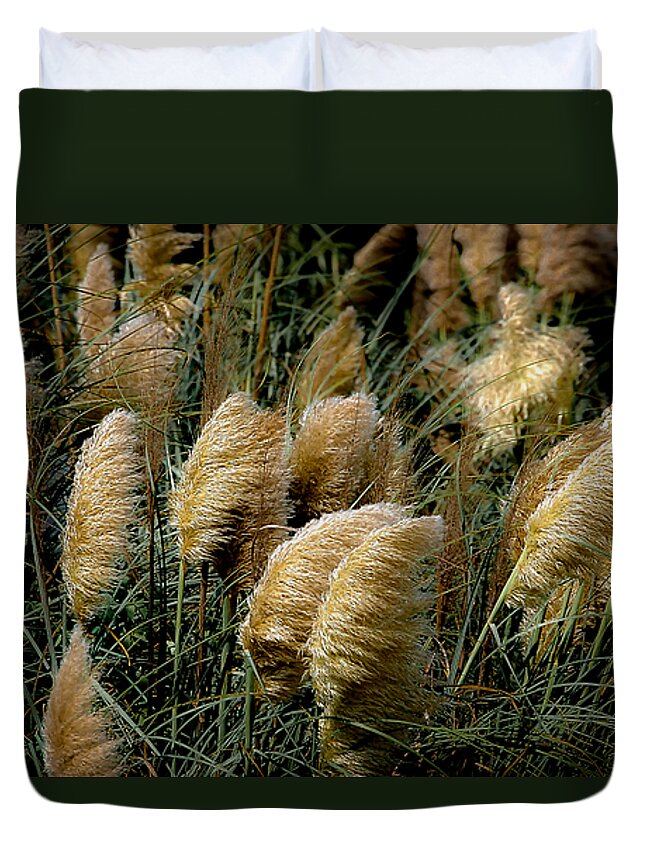 Pampas Duvet Cover featuring the photograph Golden Pampas in the Wind by DigiArt Diaries by Vicky B Fuller