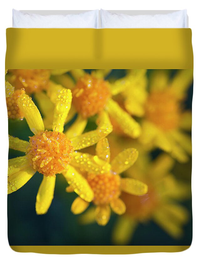 Wildflower Duvet Cover featuring the photograph Golden Ragwort by Nancy Dunivin