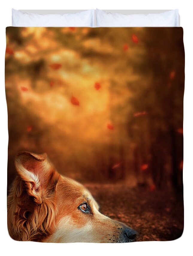 Beautiful Dog Duvet Cover featuring the photograph Golden Retriever Dreams by Darren Fisher