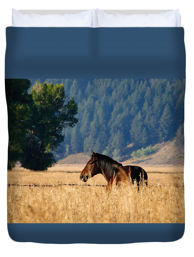 Sunrise Duvet Cover featuring the photograph Golden Sunrise on a Horse by Roberta Kayne