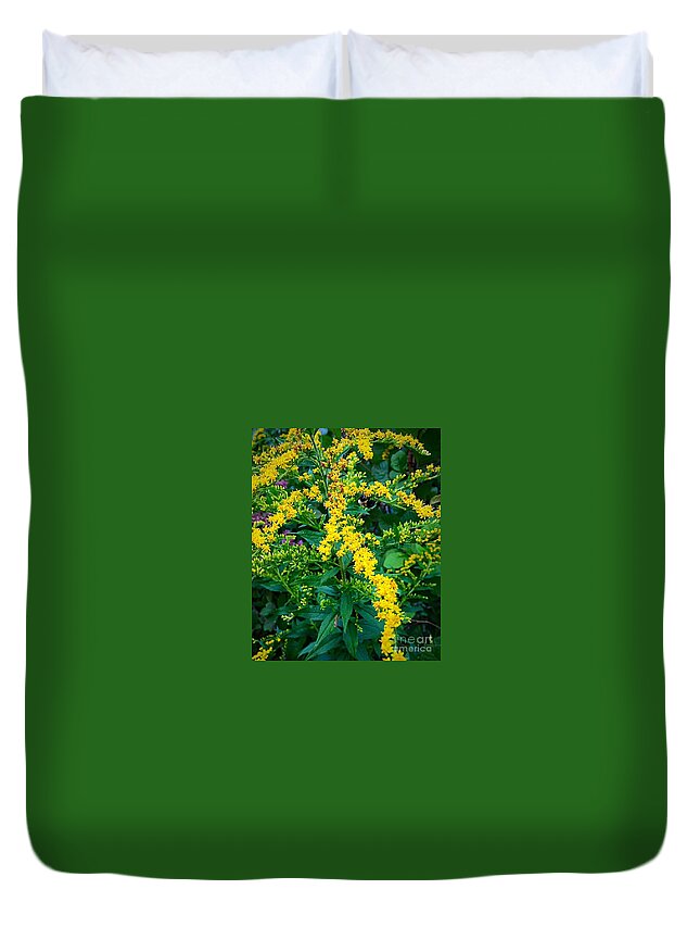 Solidago Goldenrod Fall Flower Floral Duvet Cover featuring the photograph Goldenrod in Bloom by Anne Sands