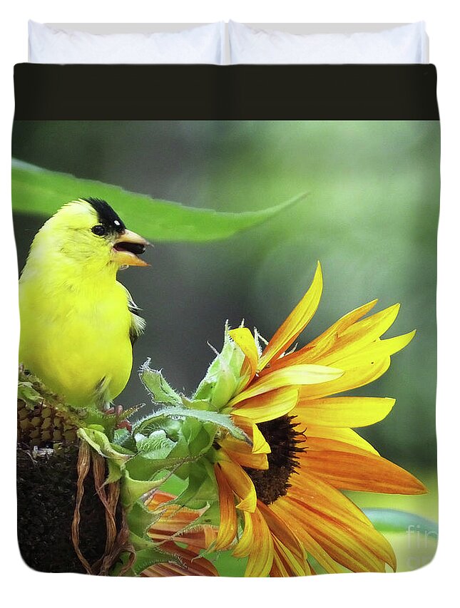 Bird Duvet Cover featuring the photograph Goldfinch 28 by Lizi Beard-Ward