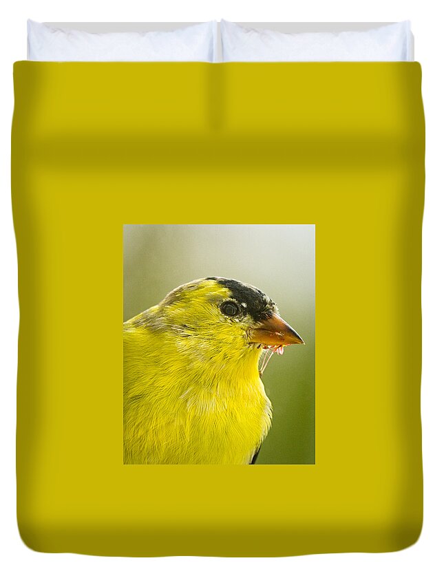 Nature Duvet Cover featuring the photograph Goldfinch Close-up by Brian Caldwell