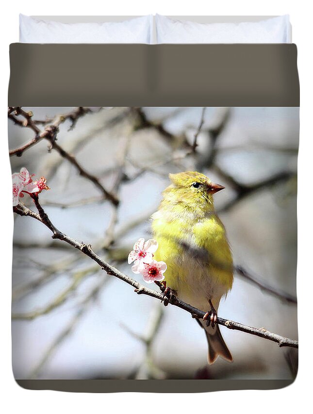 Birds Duvet Cover featuring the photograph Goldfinch in the Plum Tree by Trina Ansel