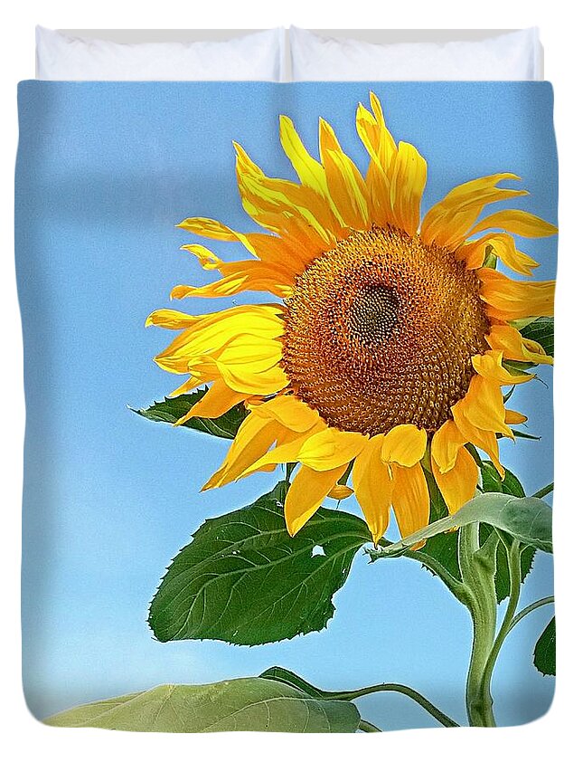 Sunflower Duvet Cover featuring the photograph Goldilocks by Amanda Smith