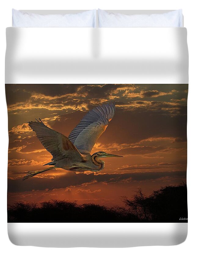 Goliath Heron Duvet Cover featuring the digital art Goliath Heron At Sunset by Larry Linton