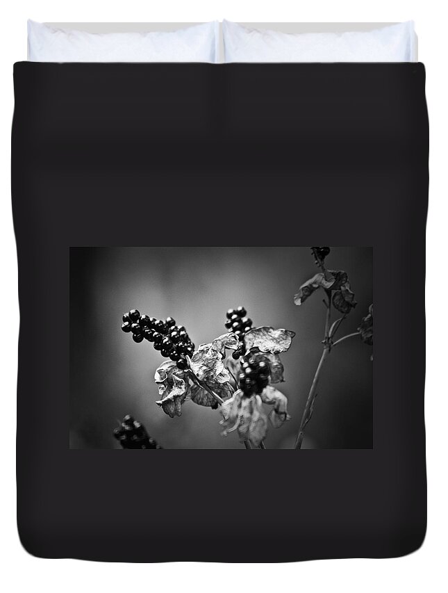Flower Duvet Cover featuring the photograph Gone to Seed Blackberry Lily by Teresa Mucha