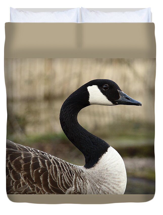 Goose Duvet Cover featuring the photograph Goose Curves by Adrian Wale