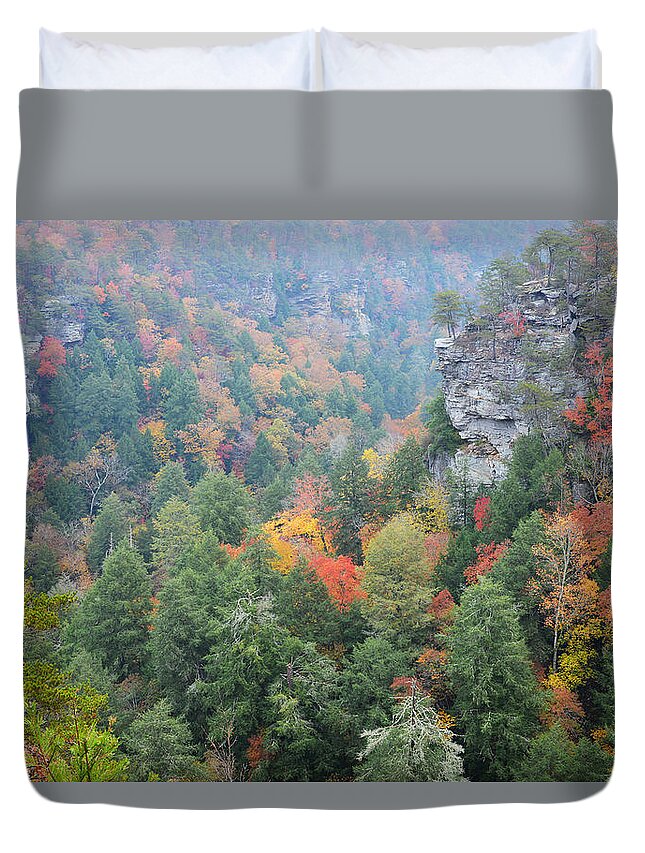 Falls Creek Falls State Park Duvet Cover featuring the photograph Gorge At Falls Creek Falls State Park by Alan Lenk