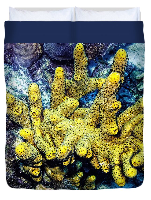 Branching Tube Sponge Duvet Cover featuring the photograph Gorgeous Yellow by Perla Copernik