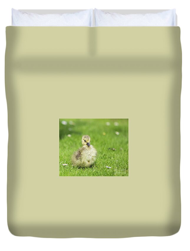 Gosling Duvet Cover featuring the photograph Gosling by Eva Lechner