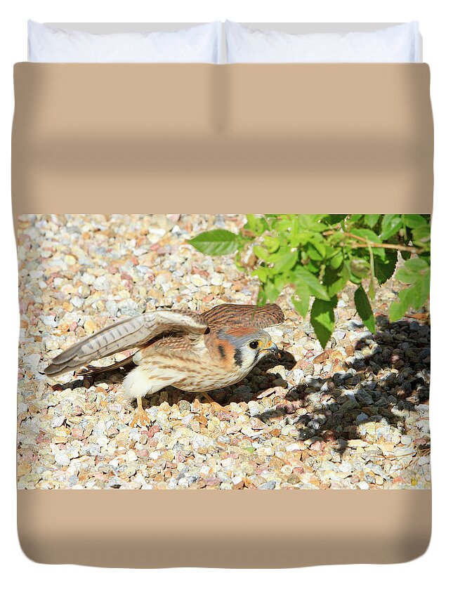 Kestrel Duvet Cover featuring the photograph Gotcha by Shoal Hollingsworth