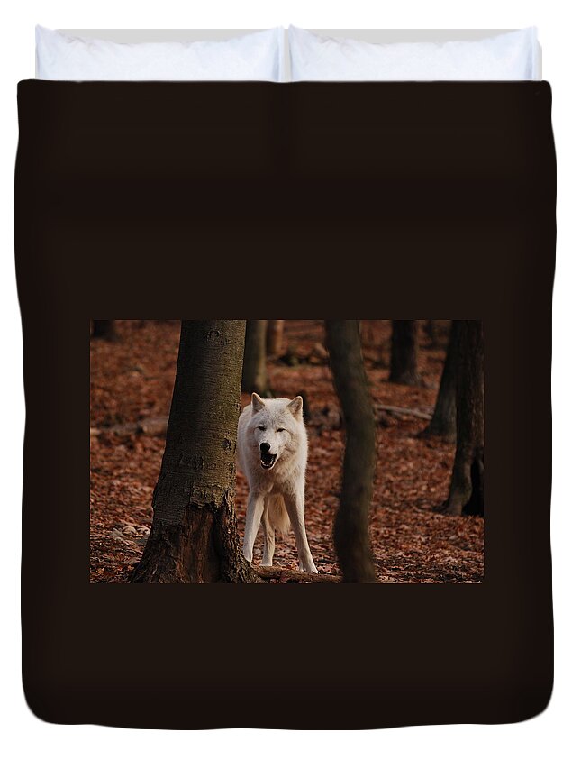 Wolf Duvet Cover featuring the photograph Gotta Laugh by Lori Tambakis