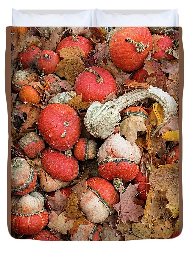Gourds Duvet Cover featuring the photograph Gourds and Autumn Leaves by Barbara McMahon