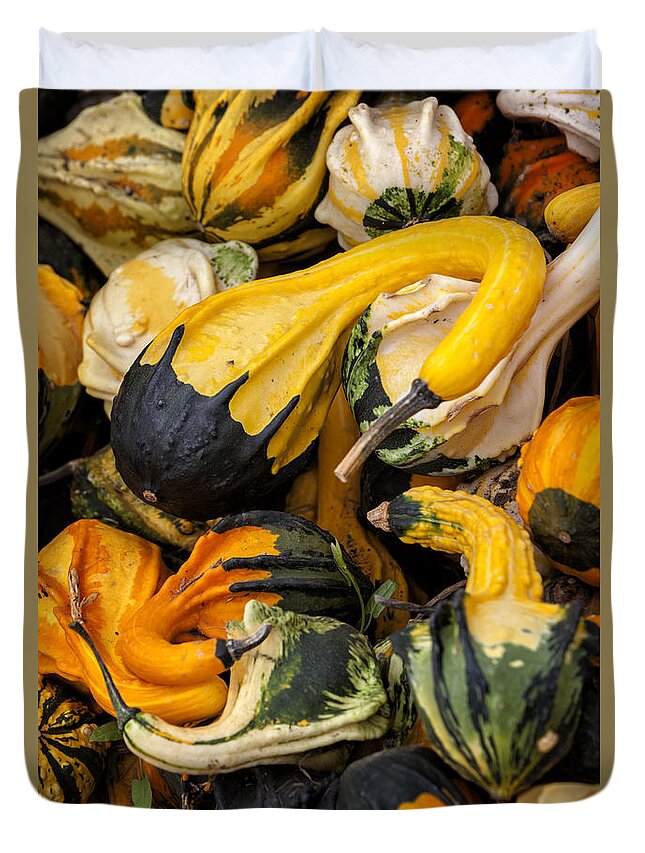 Gourds Of Color Duvet Cover featuring the photograph Gourds of Color by David Millenheft