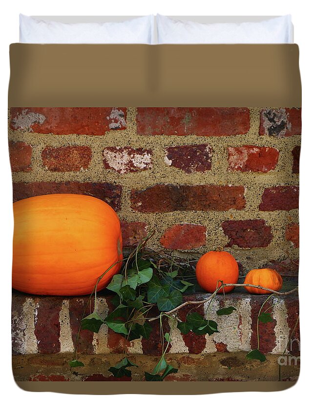 Duvet Cover featuring the photograph Gourds On A Window Sill by Christiane Schulze Art And Photography