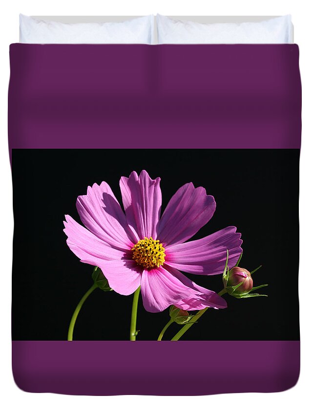 Bright Duvet Cover featuring the photograph Graceful Cosmo by Tammy Pool
