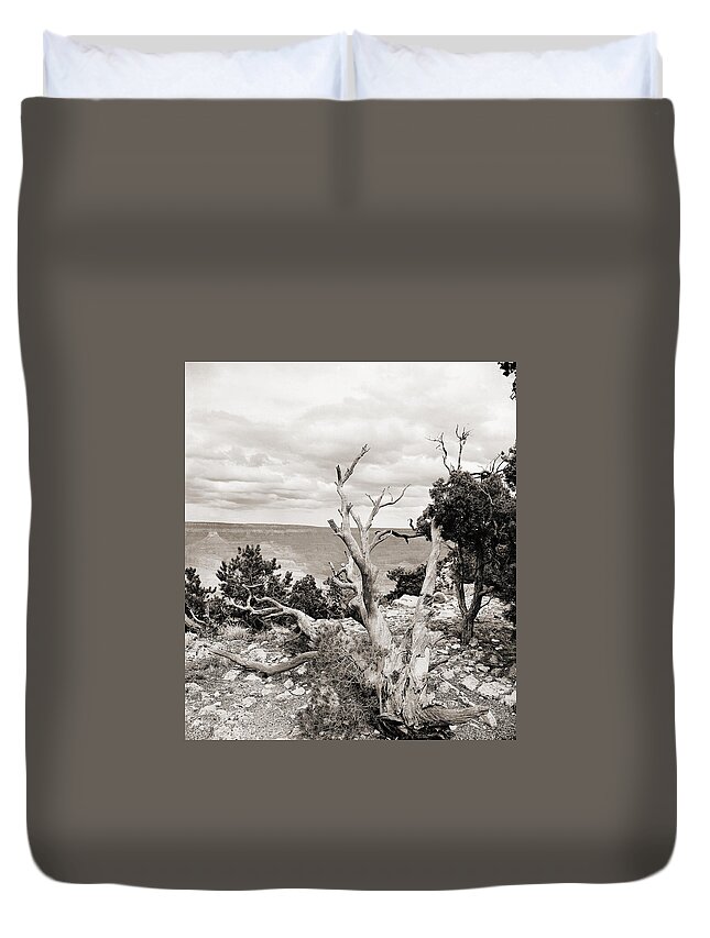 Grand Canyon Duvet Cover featuring the photograph Grand Canyon Arizona Fine Art Photograph In Sepia 3537.01 by M K Miller