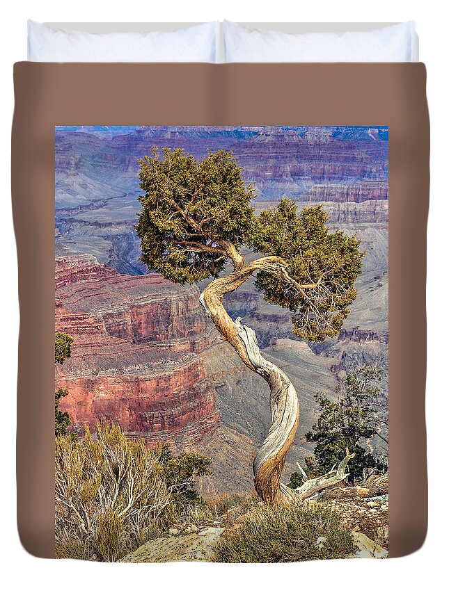Grand Canyon Duvet Cover featuring the photograph Grand Canyon Cedar by David Meznarich