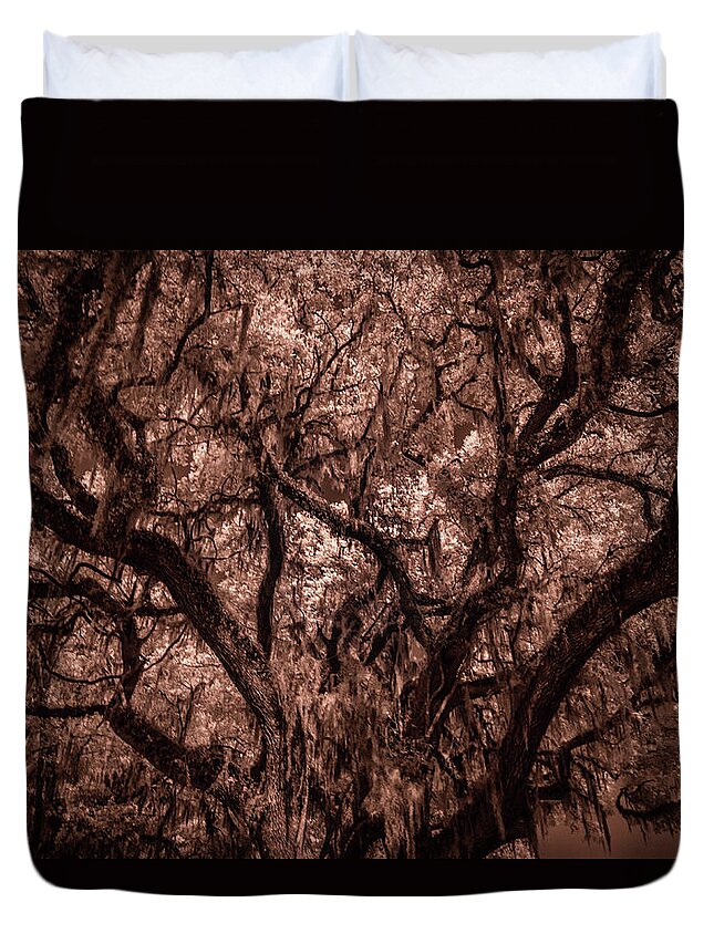 Grand Daddy Oak # Ir Photography # Tree Infrared # Nature Infrared # R72 Infrared # Hoya #. Nature # Infrared Photography # Duvet Cover featuring the photograph Grand Daddy Oak Tree In Infrared by Louis Ferreira