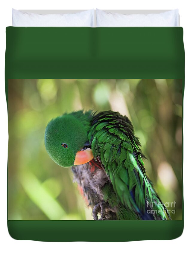 Eclectus Parrot Duvet Cover featuring the photograph Grand Eclectus by Eva Lechner