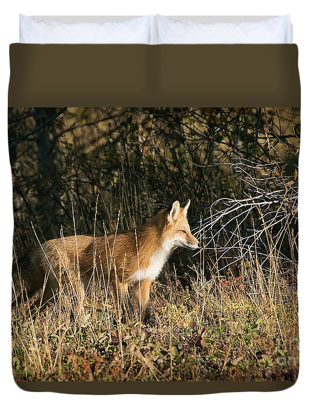 Grand Teton National Park Fox Duvet Cover featuring the photograph Grand Teton National Park Fox by Priscilla Burgers