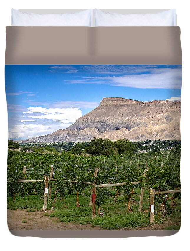 Colorado Duvet Cover featuring the photograph Grand Valley Vineyards by Teri Virbickis