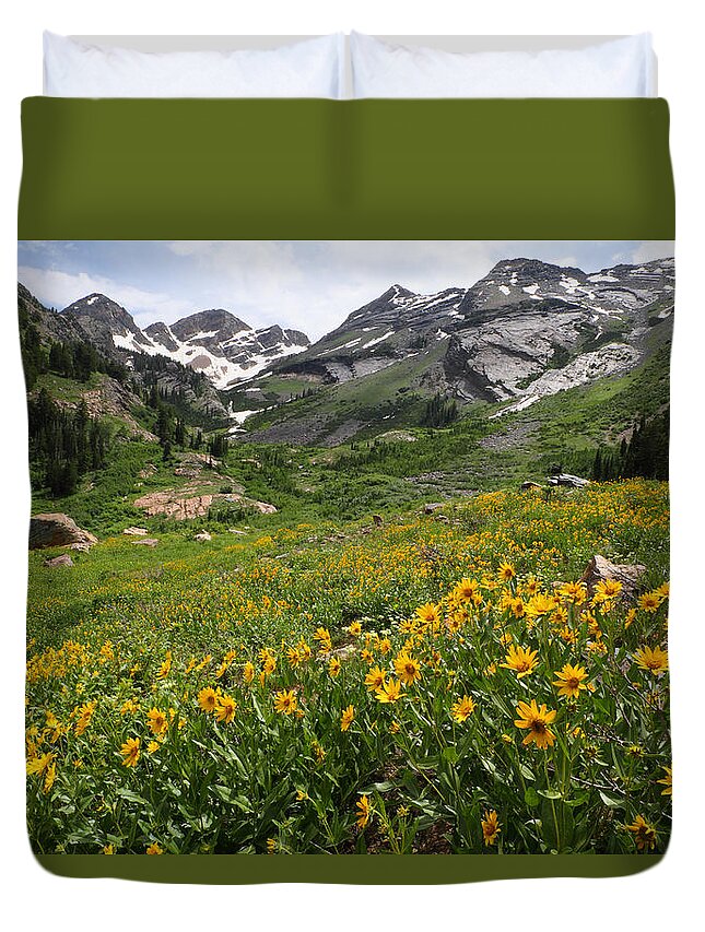 Landscape Duvet Cover featuring the photograph Grandmothers Meadow - Broads Fork by Brett Pelletier