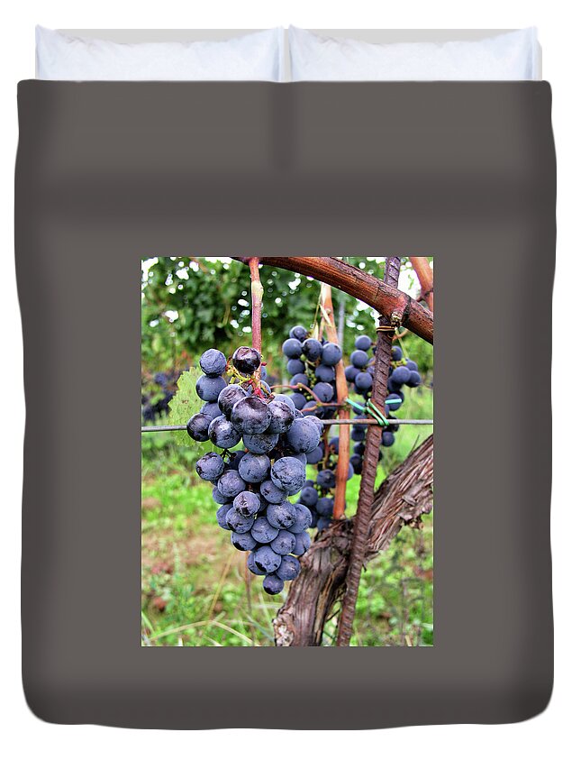 Italy Duvet Cover featuring the photograph Grape Vine by Mary Capriole