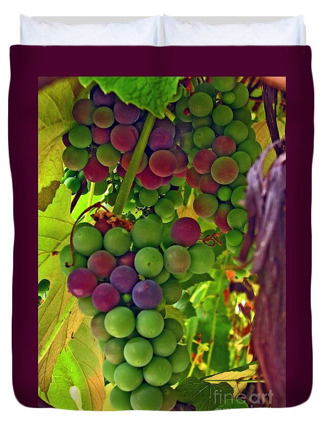 Grapes Duvet Cover featuring the photograph Grapes on the Vine by Chris Anderson