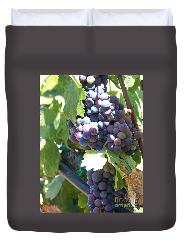 Grapes Duvet Cover featuring the photograph Grapevine by Pamela Walrath