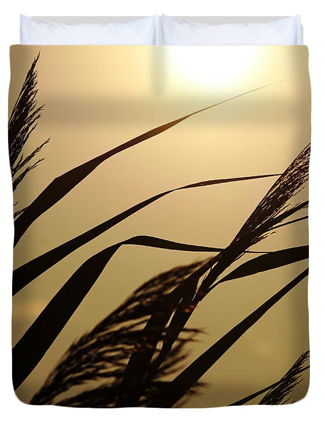 Sunset Duvet Cover featuring the photograph Grass In Silhouette by Debbie Oppermann