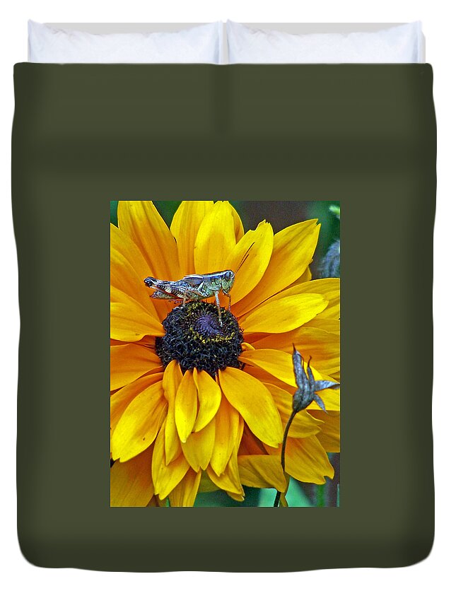 Insects Duvet Cover featuring the photograph Grasshopper and Susan by Jennifer Robin