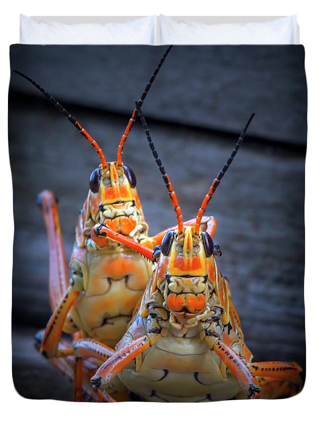 Grasshopper Duvet Cover featuring the photograph Grasshoppers in Love by Mark Andrew Thomas