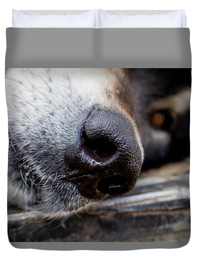 Animal Duvet Cover featuring the photograph Gray Wolf Nose by Teri Virbickis