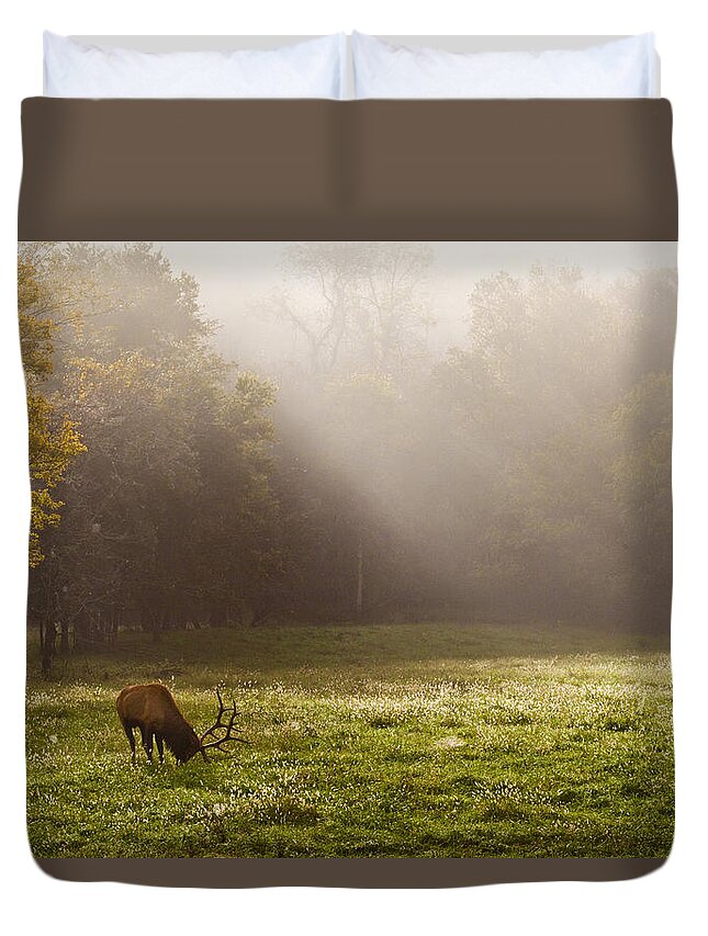 Bull Elk Duvet Cover featuring the photograph Grazing Bull Elk at Sunrise by Michael Dougherty