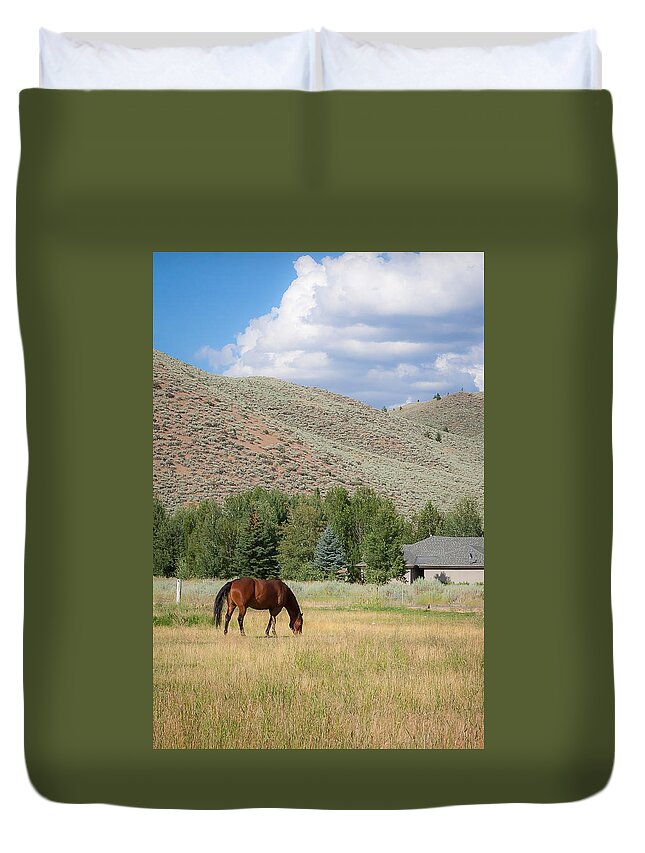 Idaho Duvet Cover featuring the photograph Grazing Horse by Dave Hall