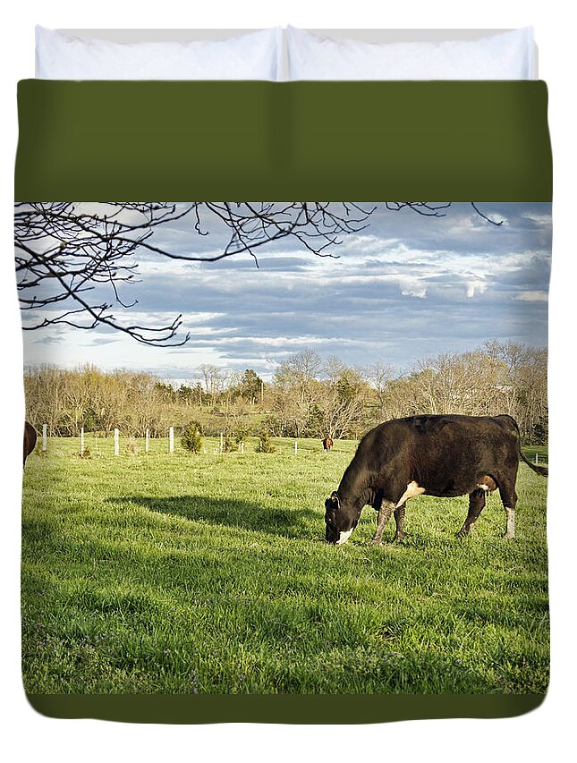 Cow Duvet Cover featuring the photograph Grazing the Back Forty by Cricket Hackmann