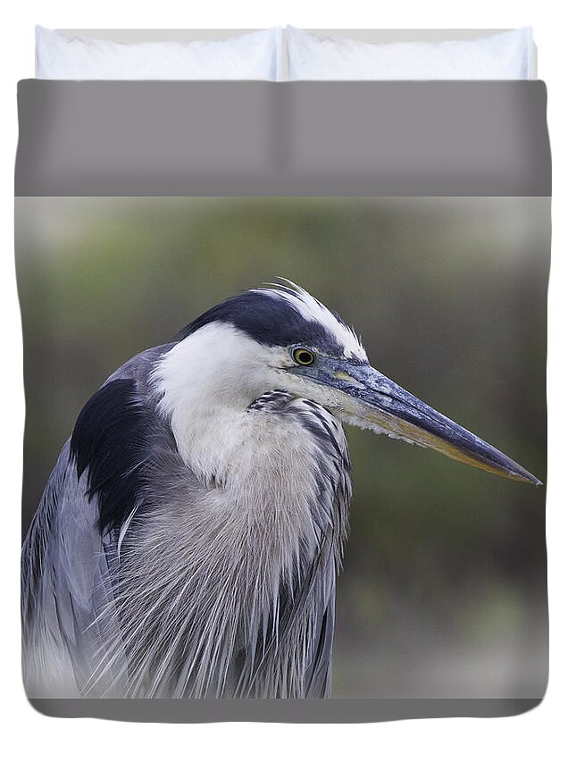 Great Blue Heron Duvet Cover featuring the photograph Great Blue by Dusty Wynne