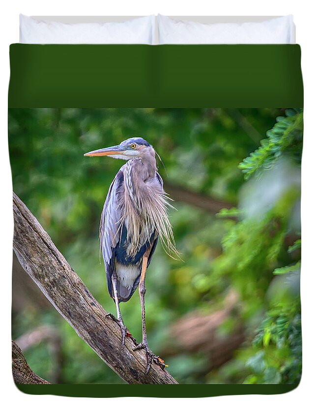 Port Dover Duvet Cover featuring the photograph Great Blue Heron 2 by Gary Hall