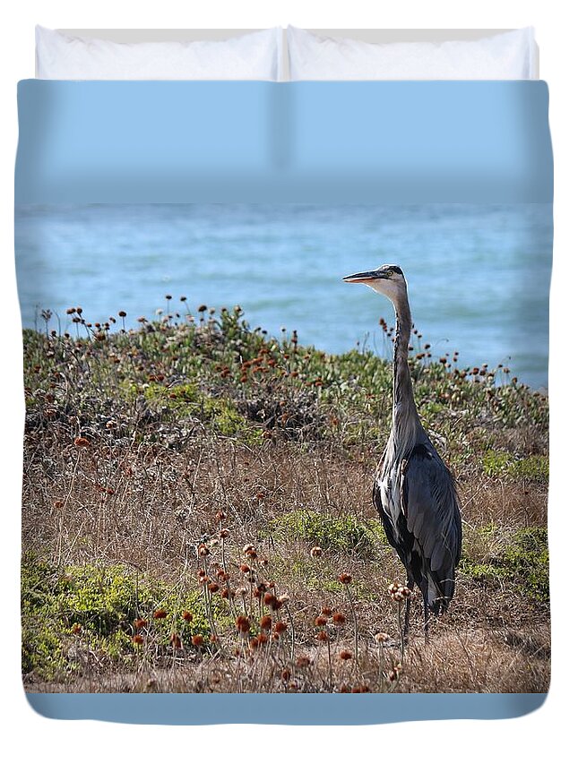 Great Blue Heron Duvet Cover featuring the photograph Great Blue Heron - 6 by Christy Pooschke