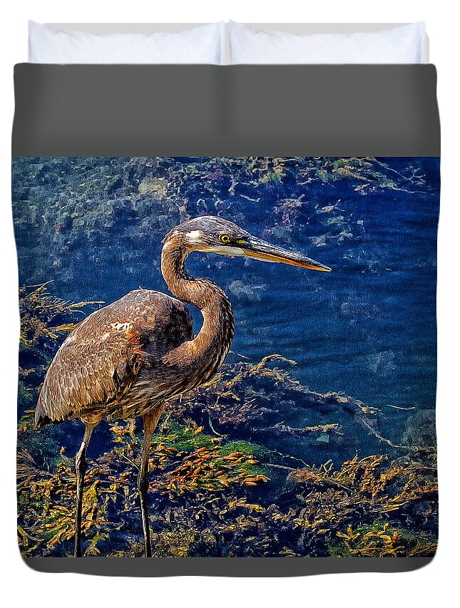 Great Duvet Cover featuring the photograph Great Blue Heron and Seaweed by Constantine Gregory