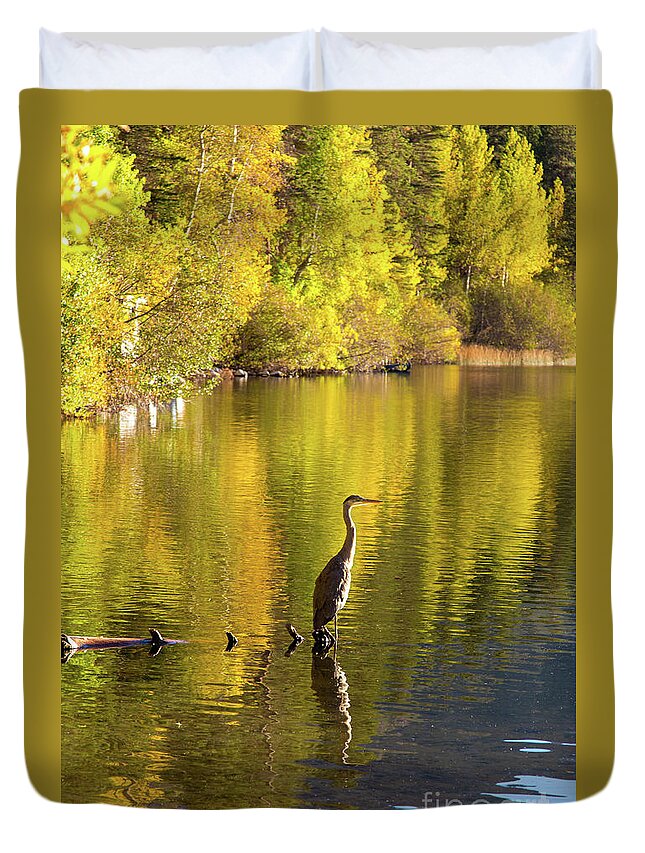 Eastern Sierra Duvet Cover featuring the photograph Great Blue Heron At Gull Lake by Mimi Ditchie