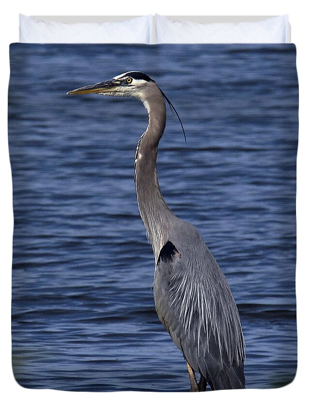 Marsh Duvet Cover featuring the photograph Great Blue Heron DMSB0001 by Gerry Gantt