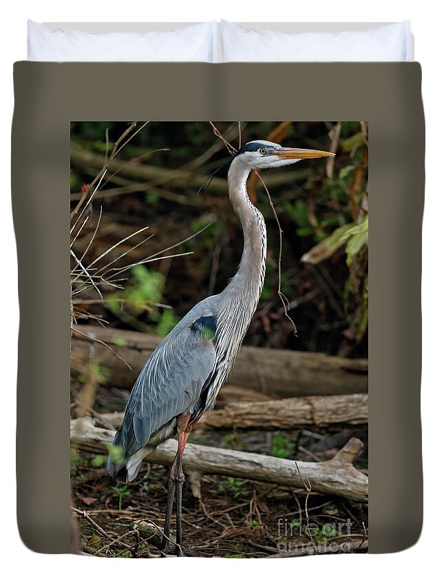 Great Blue Heron Duvet Cover featuring the photograph Great Blue Heron in Florida Swamp by Natural Focal Point Photography