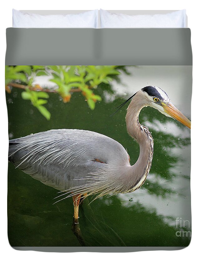 Animal Duvet Cover featuring the photograph Great Blue Heron by Karen Adams