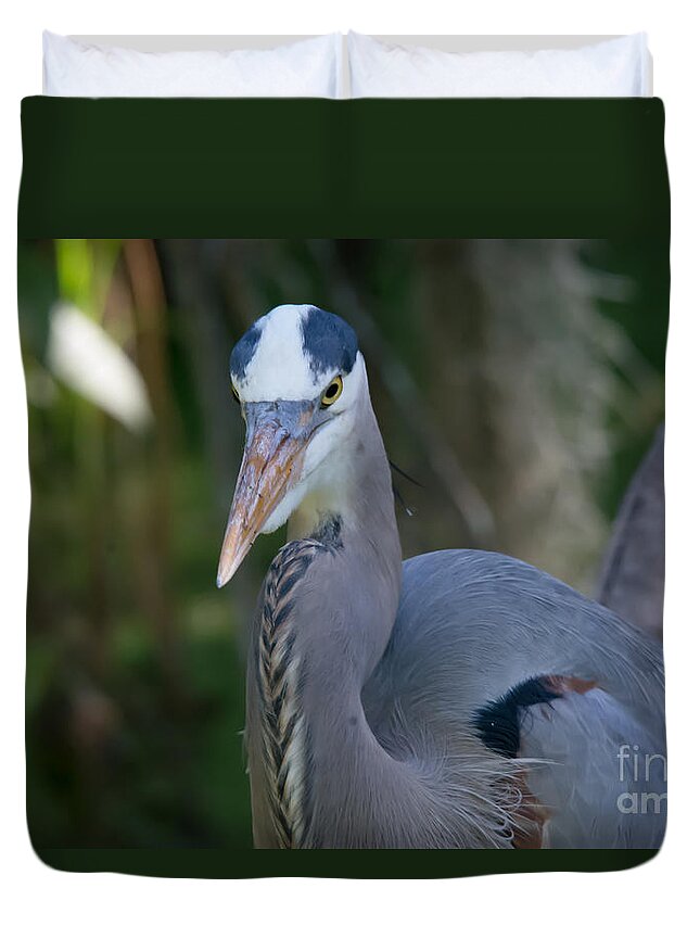 Great Blue Heron Duvet Cover featuring the photograph Great Blue Heron No.3 by John Greco