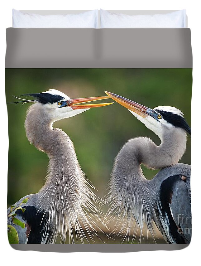 Great Blue Heron Duvet Cover featuring the photograph Great Blue Heron Pair 2 by Julie Adair