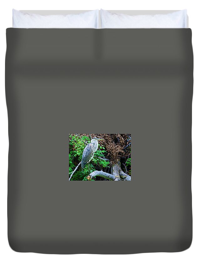 Great Blue Heron Duvet Cover featuring the photograph Great Blue Heron Perch by Ed Peterson