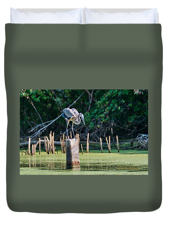 Great Blue Heron Duvet Cover featuring the photograph Great Blue Heron Posed by Ed Peterson